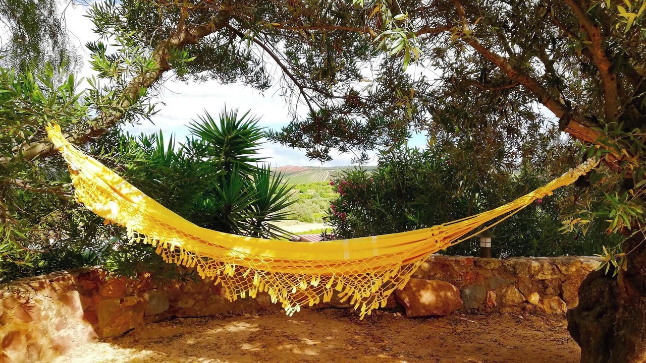 Photo of Outdoor in Silves