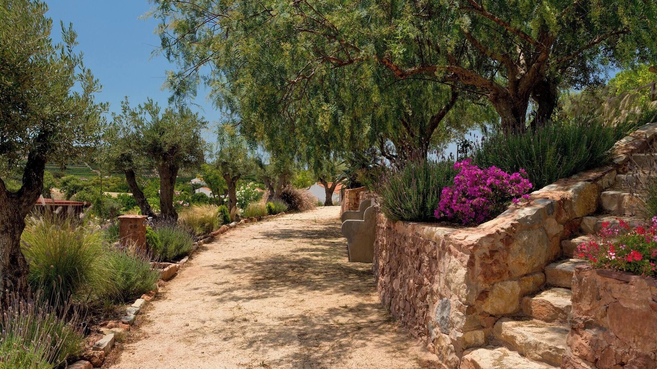 Photo of Outdoor in Silves