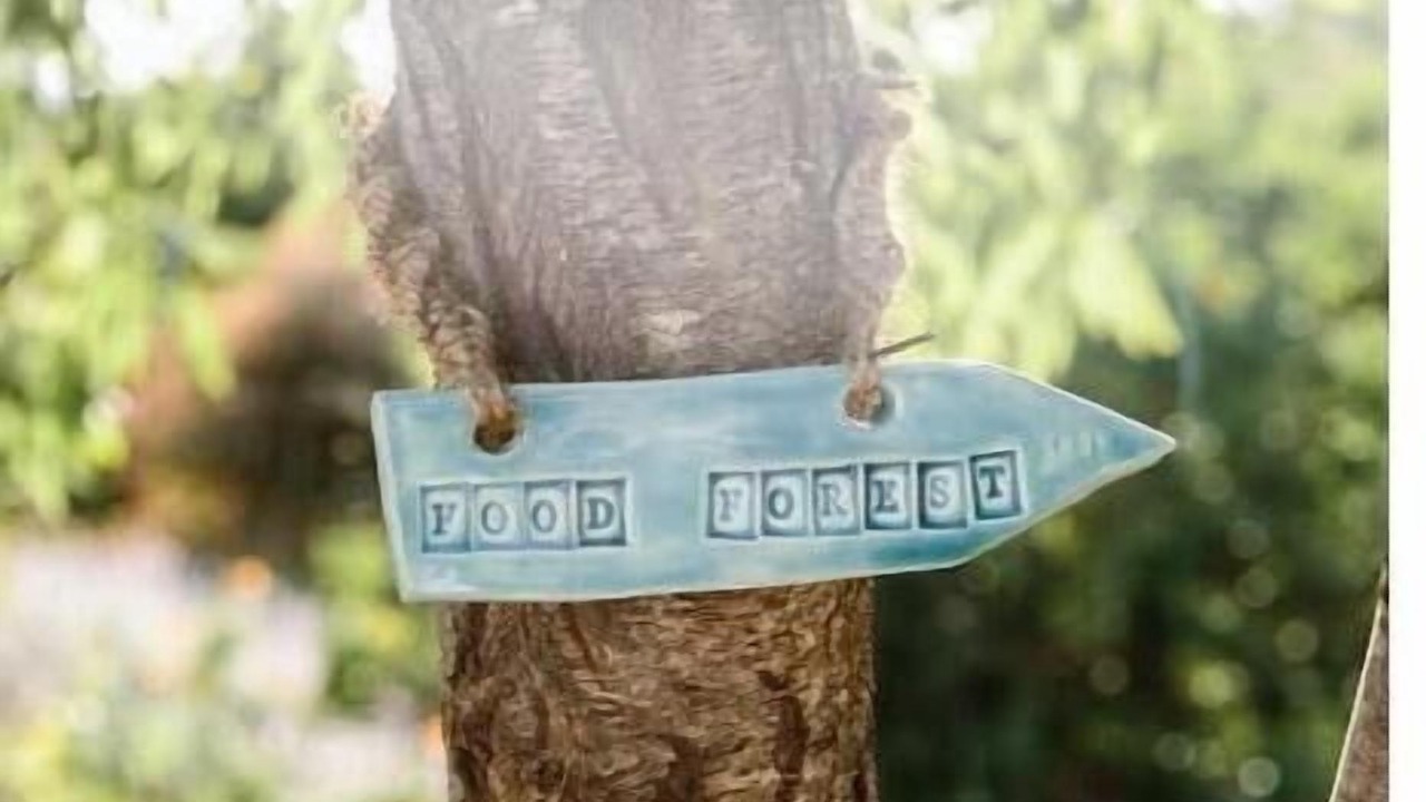 Photo of Others in Olhao