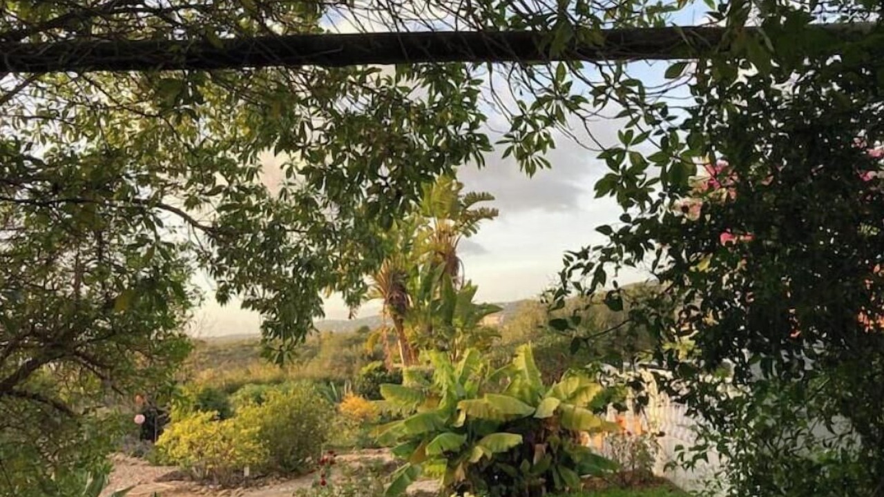 Photo of Outdoor in Olhao