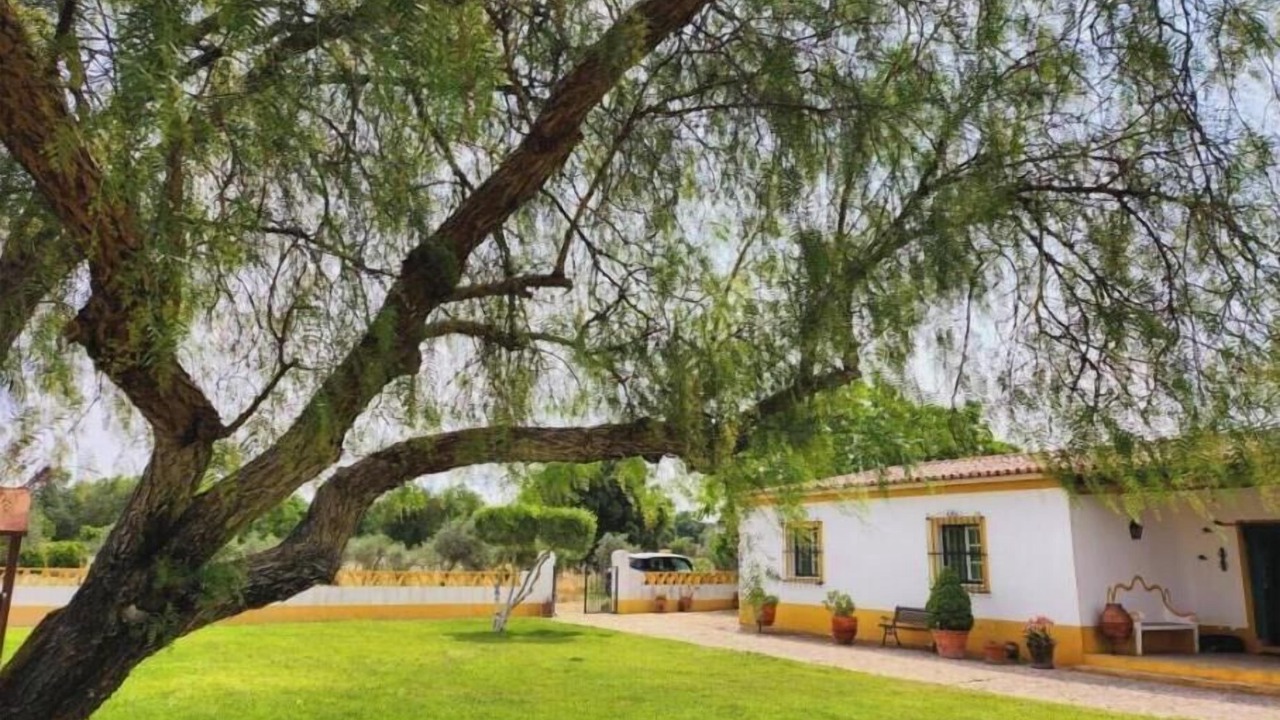 Photo of Outdoor in Viana do Alentejo