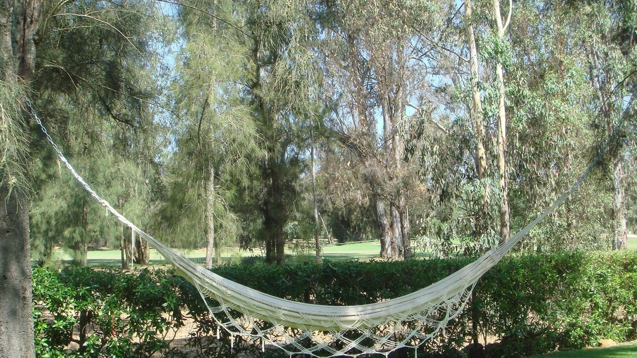 Photo of Outdoor in Penina