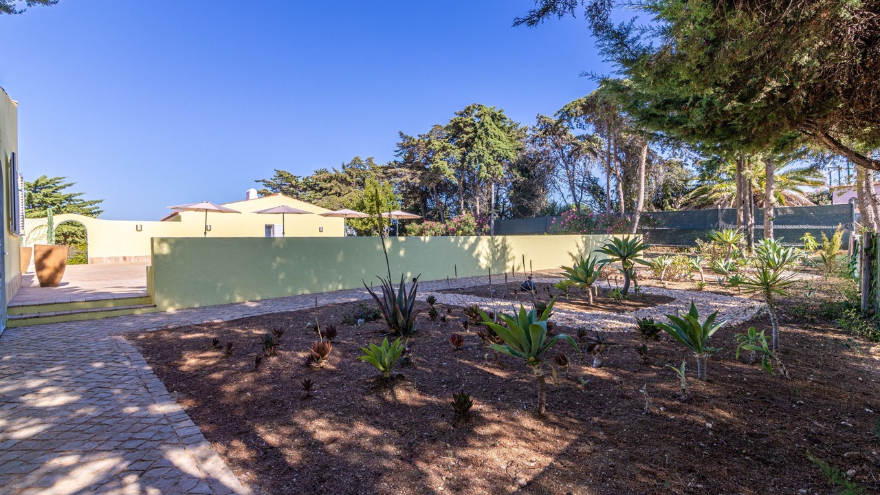 Photo of Outdoor in Funchal