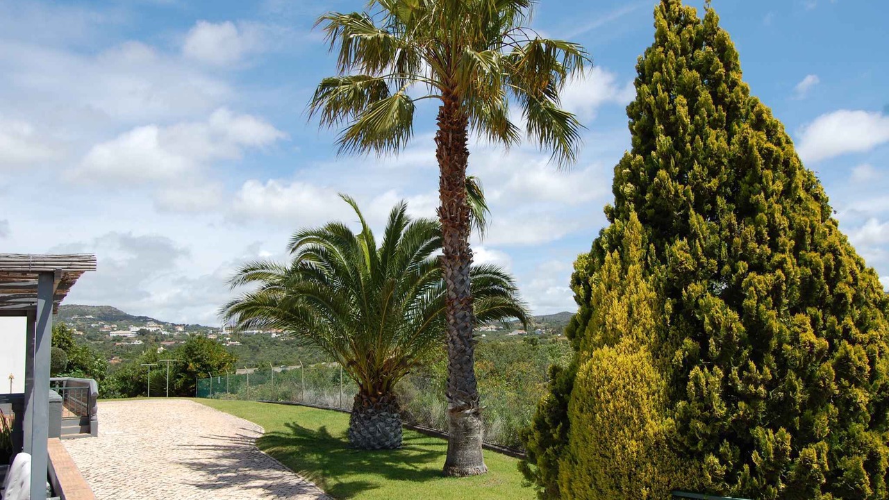 Photo of Outdoor in Falfosa