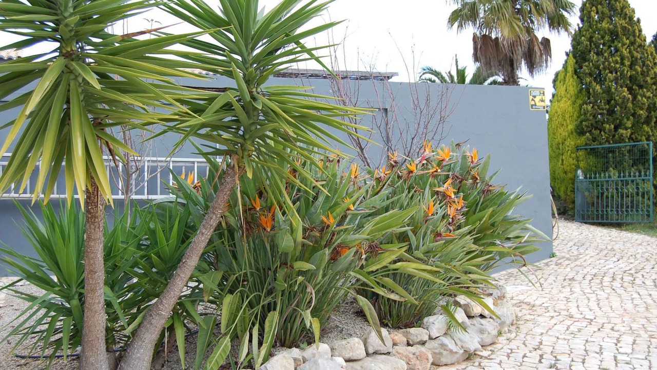 Photo of Outdoor in Falfosa