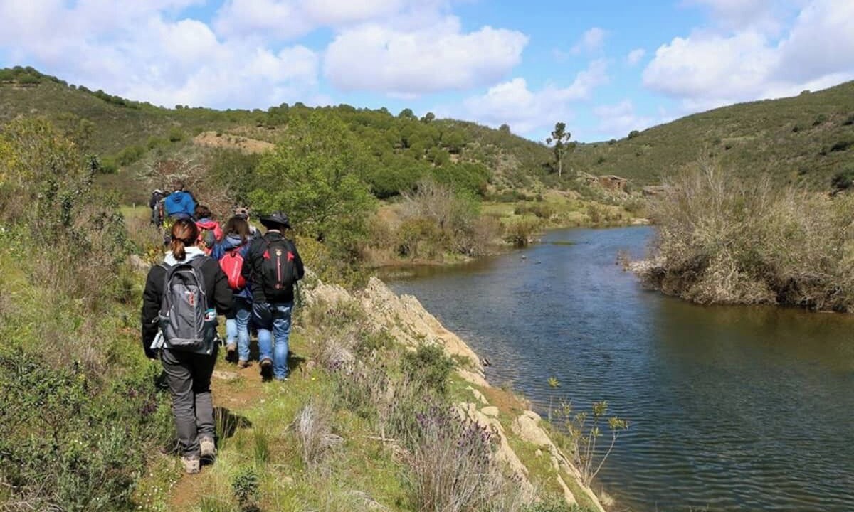 Photo of Outdoor in Altura
