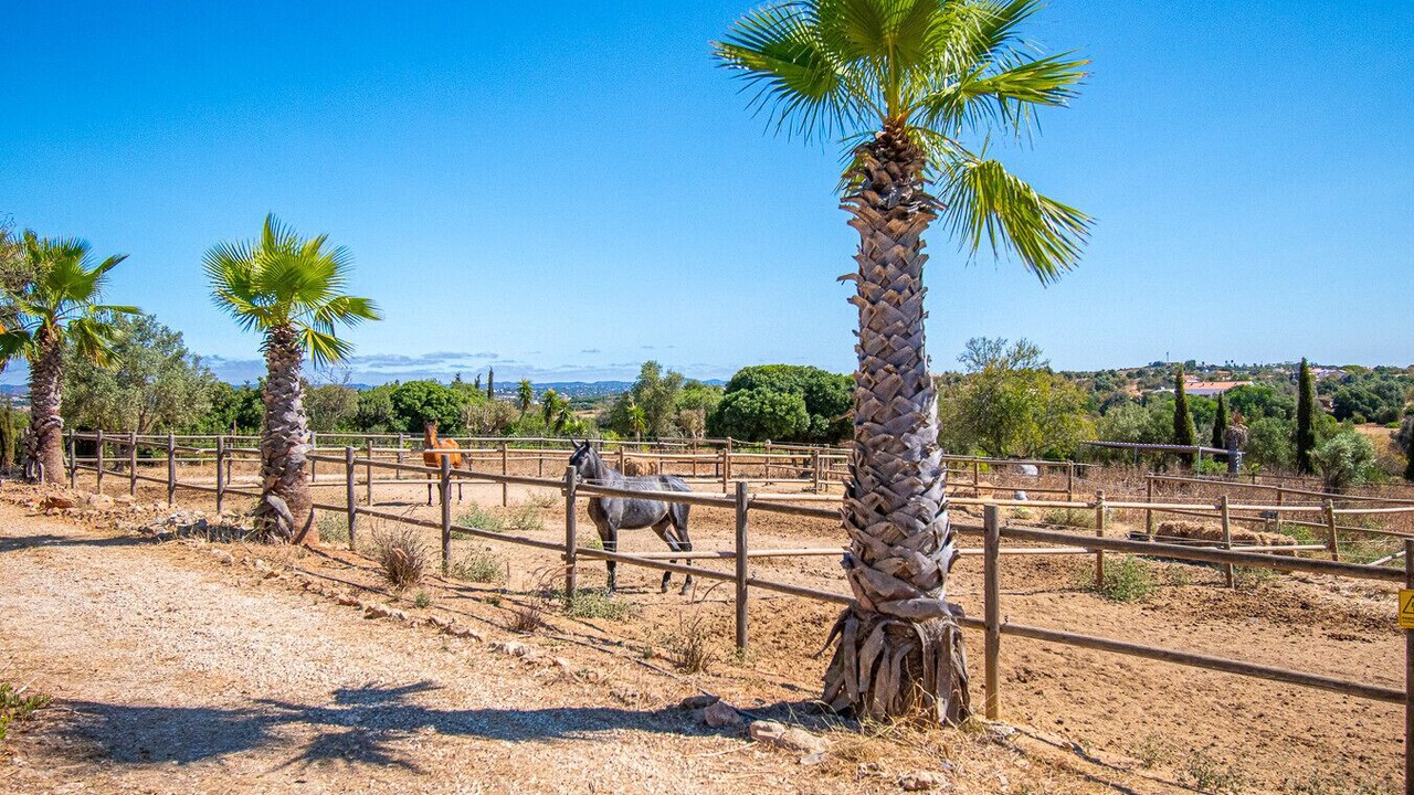 Photo of Outdoor in Lagoa e Carvoeiro