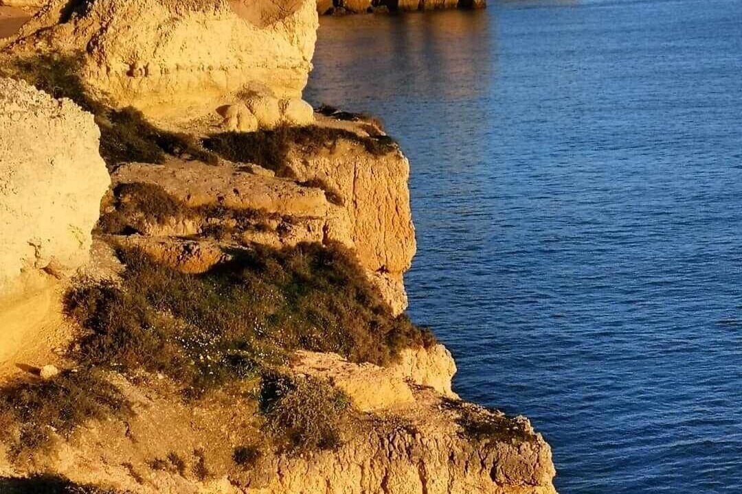 Photo of Others in Sesmarias