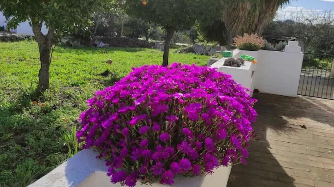 Photo of Outdoor in Santo Estevao