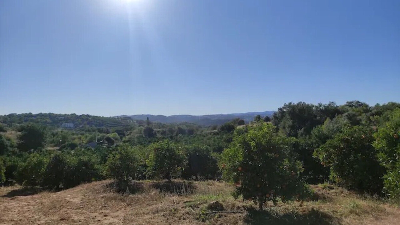 Photo of Others in Santo Estevao