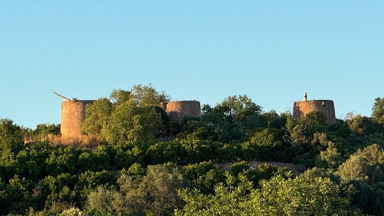 Photo of Others in Monte Raposo