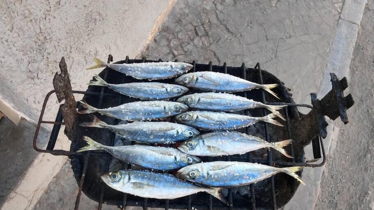 Photo of Others in Olhao