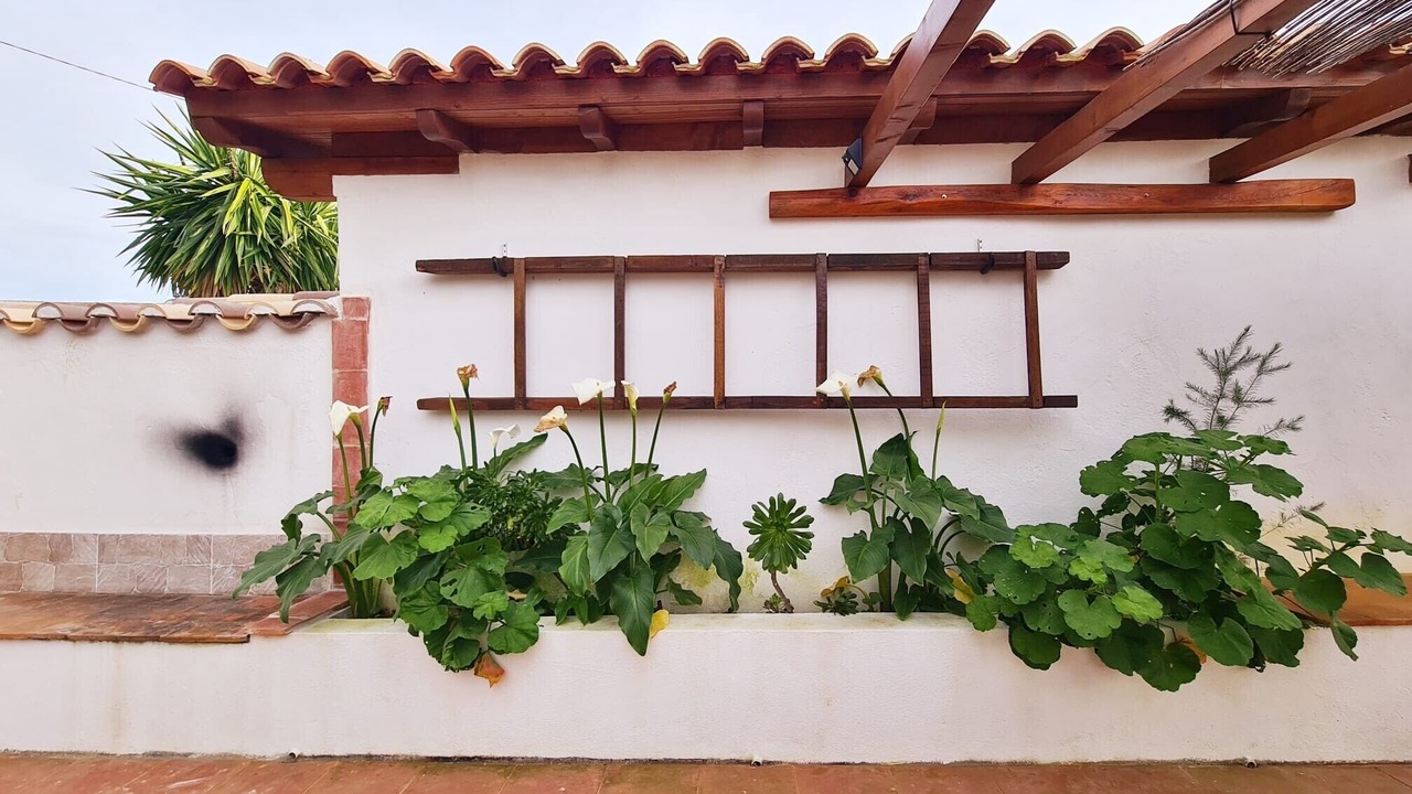 Photo of Outdoor in Colegio