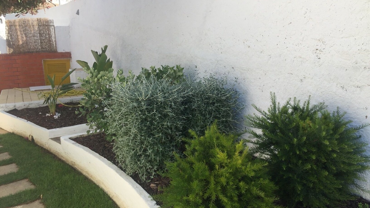 Photo of Outdoor in Santa Eulalia