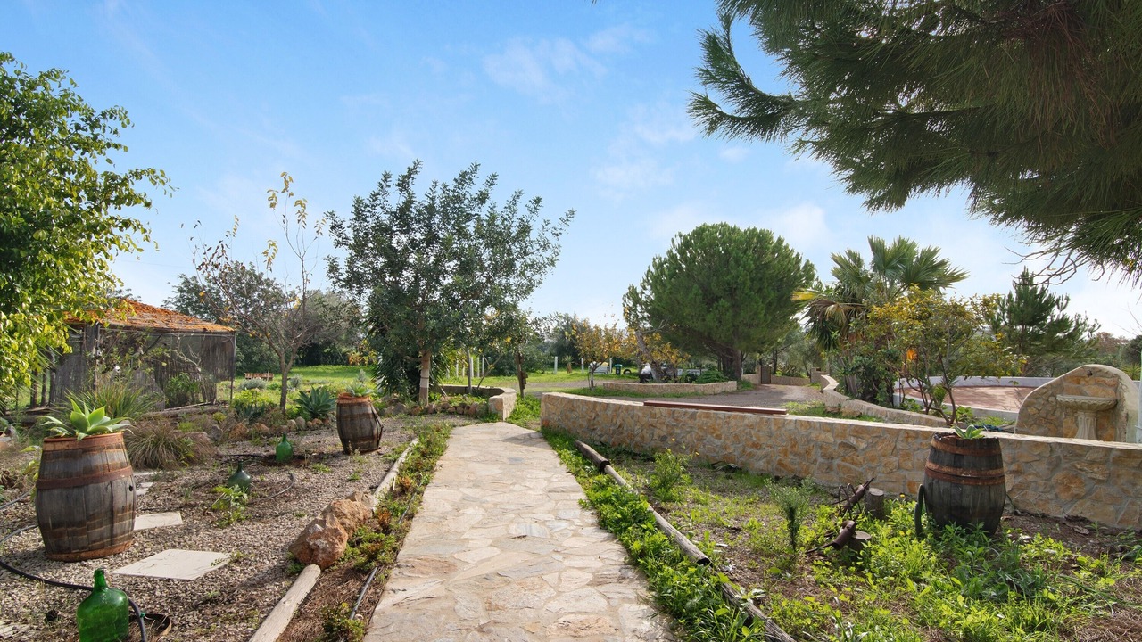 Photo of Outdoor in Tavira