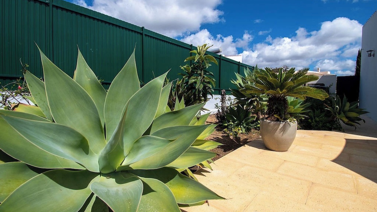Photo of Outdoor in Mato Serrao
