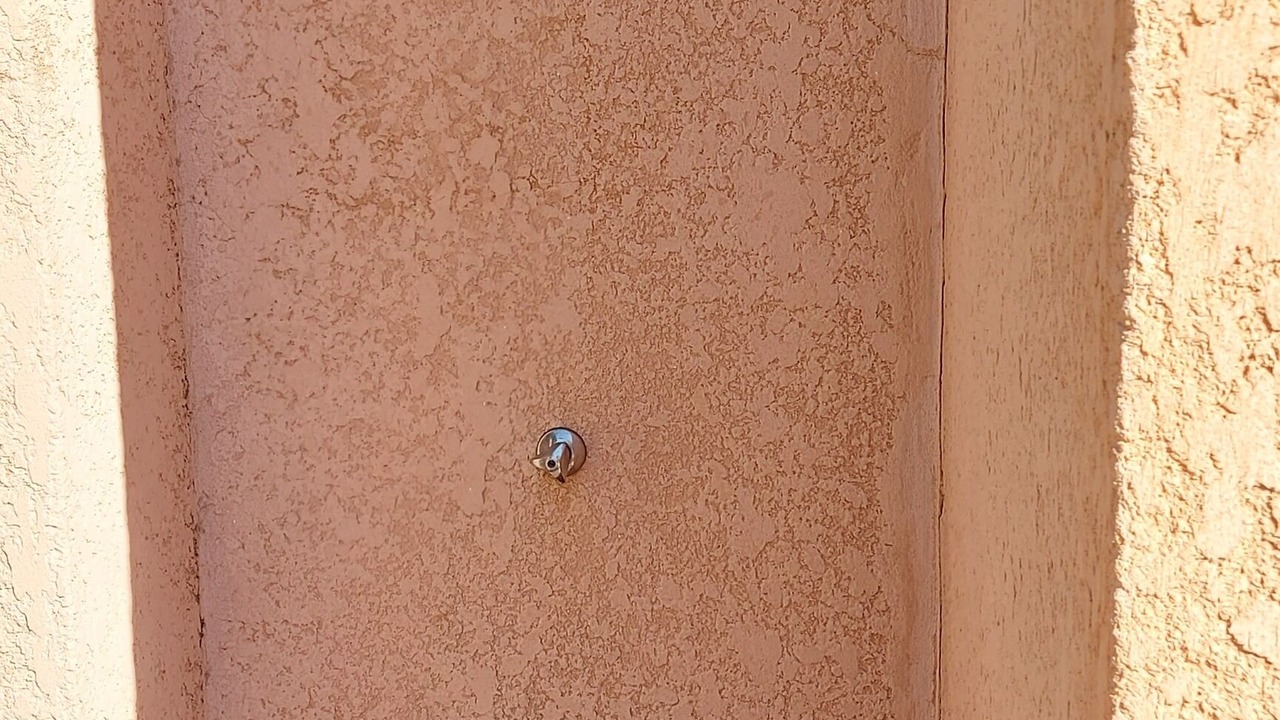 Photo of Outdoor in Gale