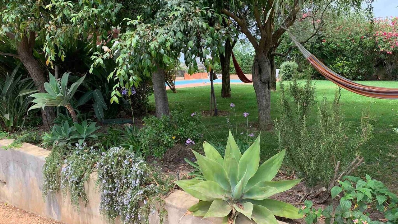 Photo of Outdoor in Porto de Mos