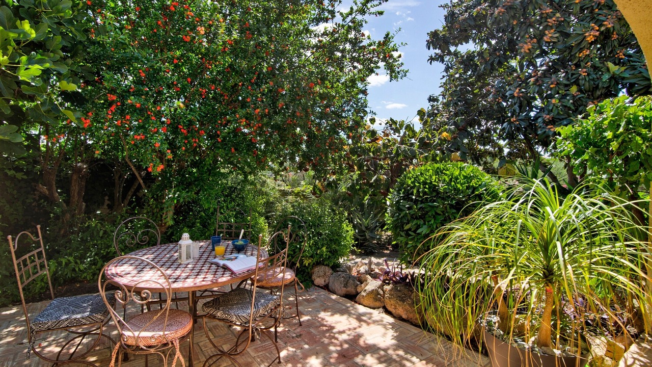 Photo of Outdoor in Vale Judeu
