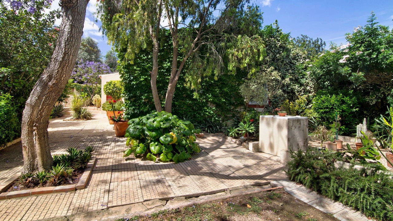Photo of Outdoor in Vale Judeu