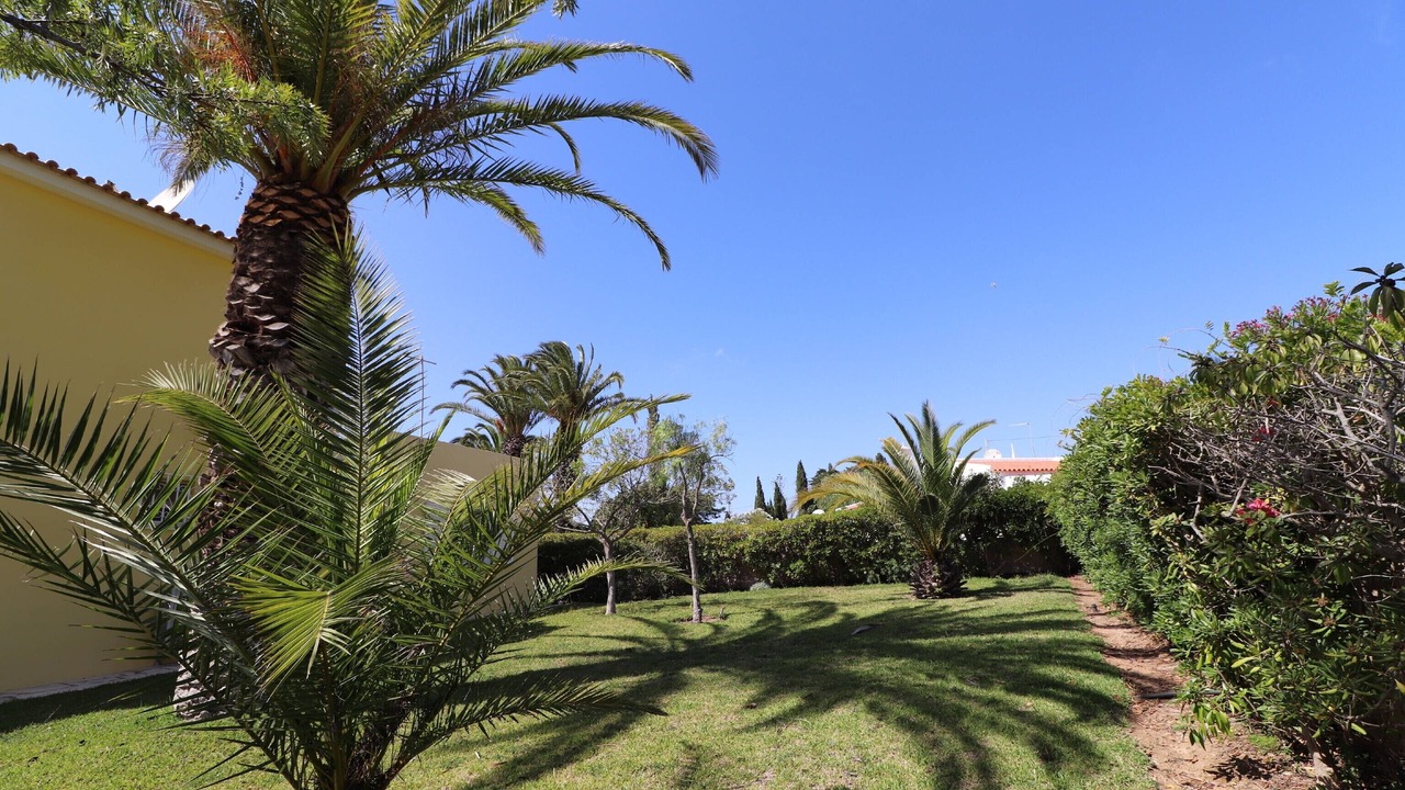 Photo of Outdoor in Mato Serrao