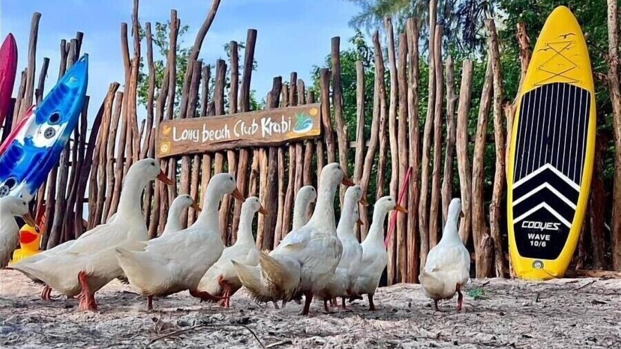 Photo of Outdoor in Nong Thale