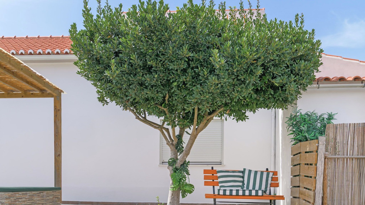 Photo of Outdoor in Rogil