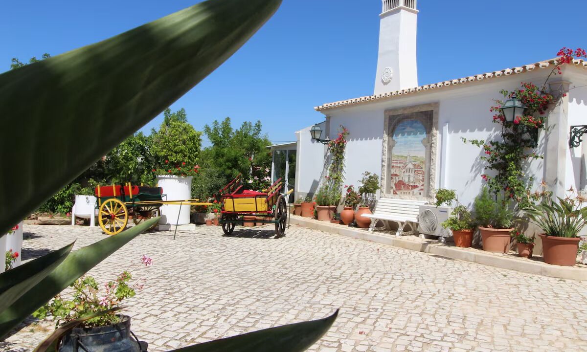 Photo of Outdoor in Albufeira