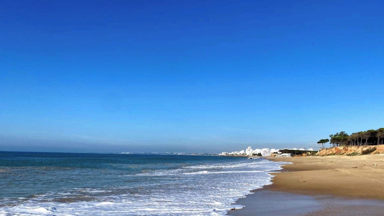 Photo of Others in Quarteira