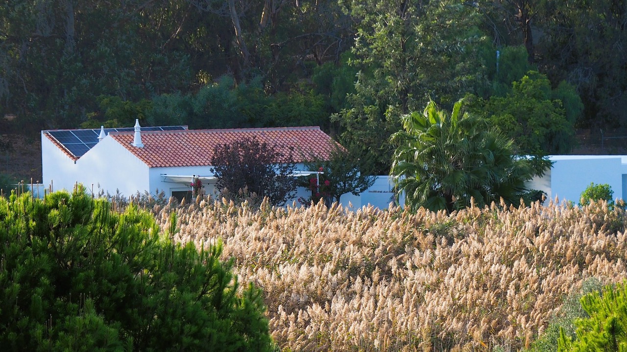 Photo of Outdoor in Quarteira