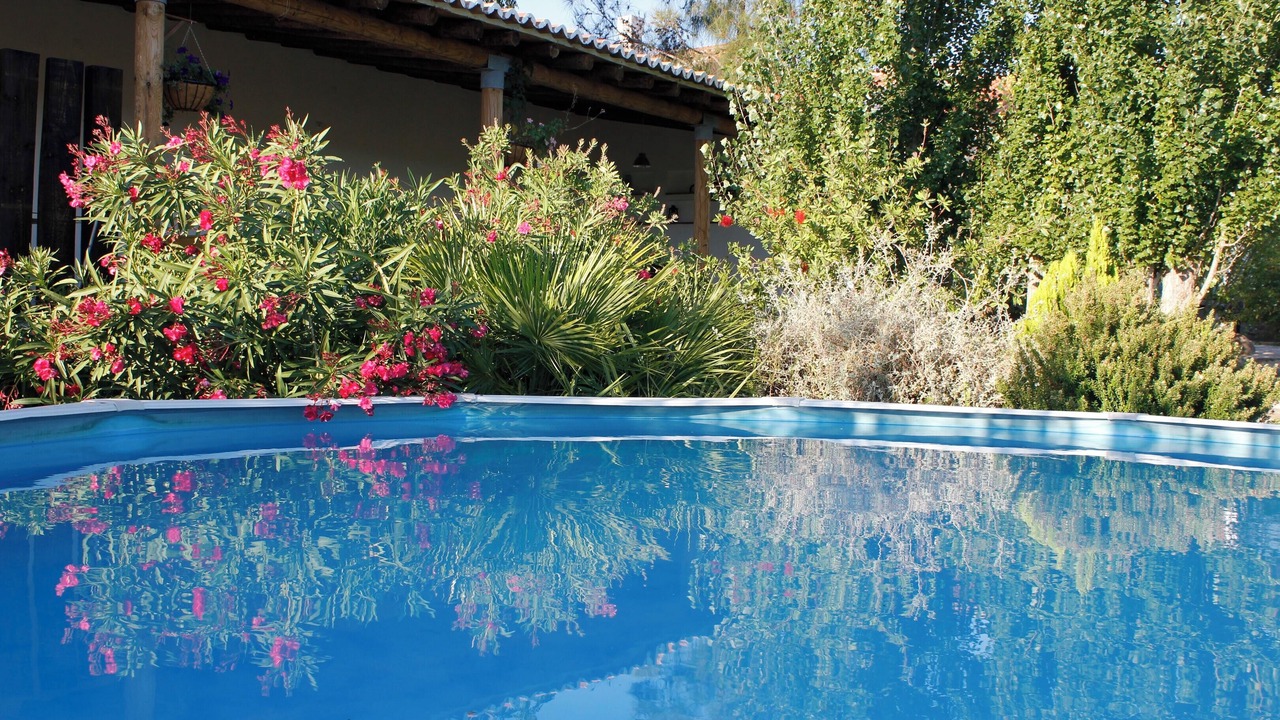 Photo of Outdoor in Junqueira