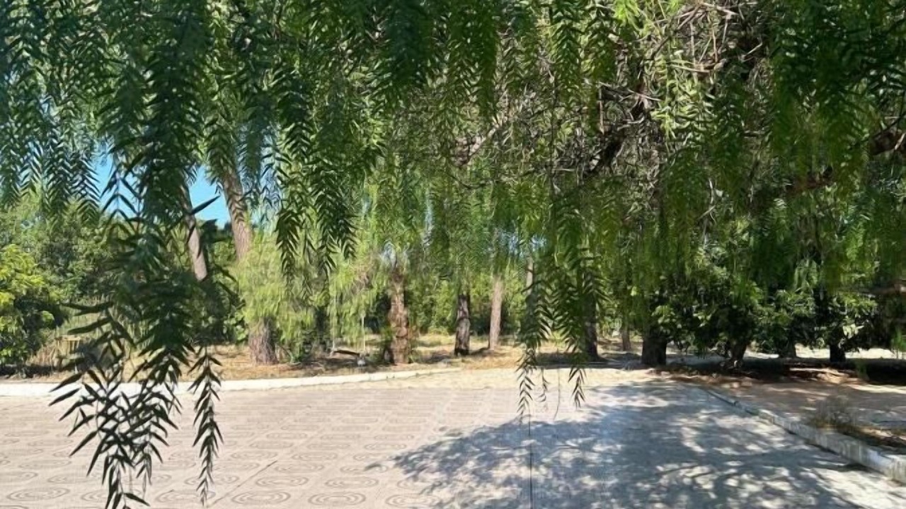 Photo of Outdoor in Falfosa