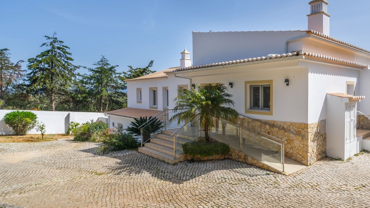 Photo of Others in Funchal