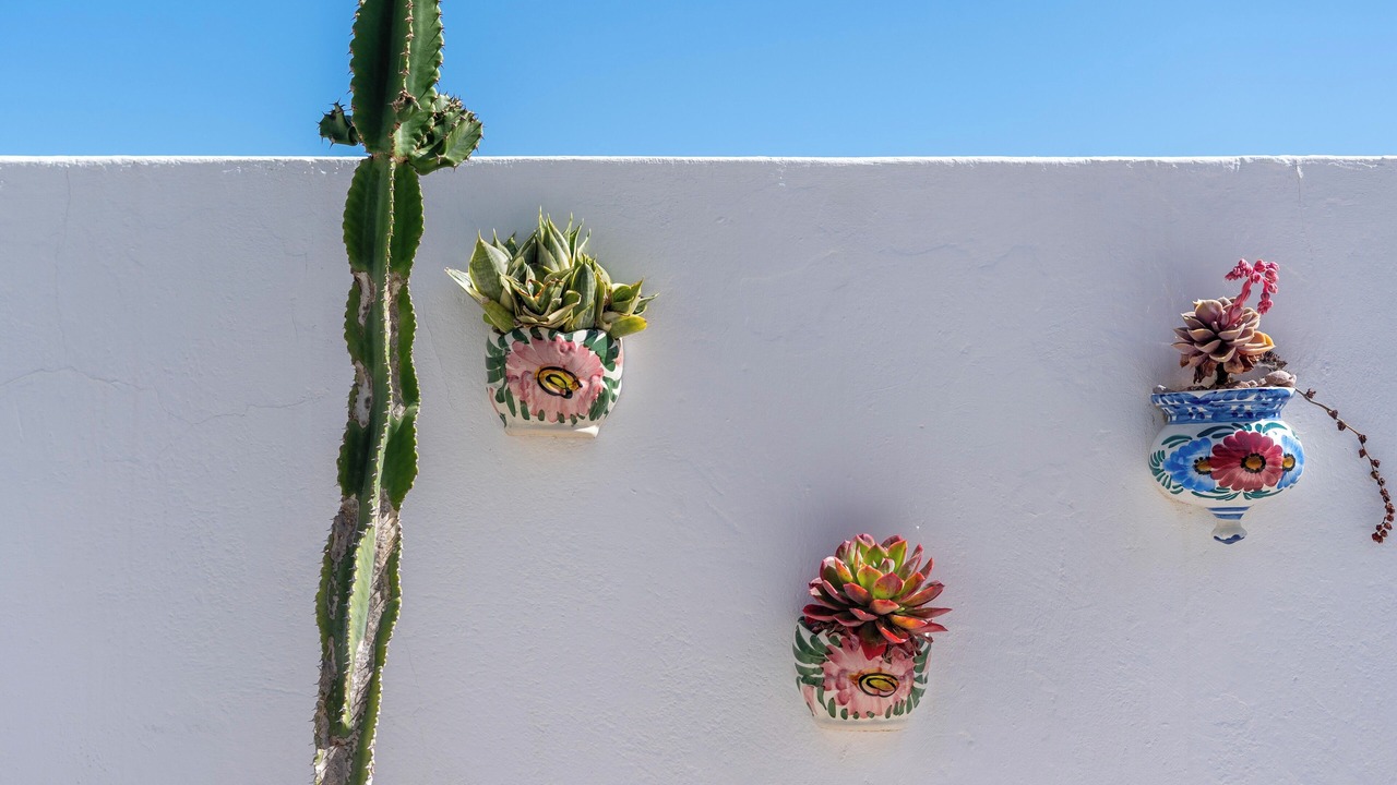 Photo of Outdoor in Espiche
