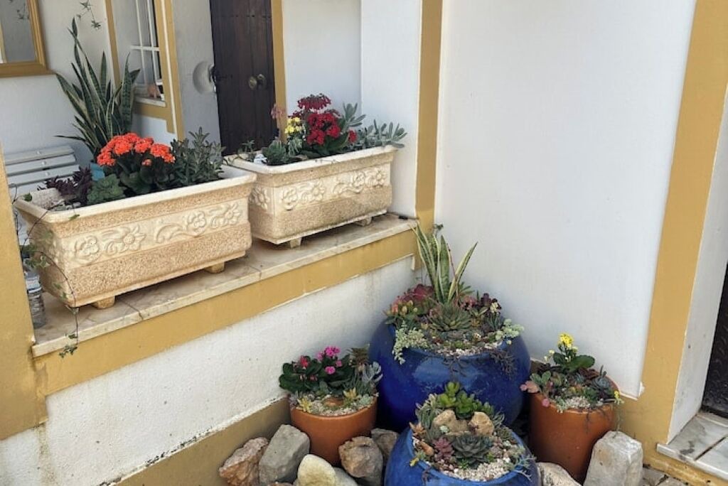 Photo of Outdoor in Loule