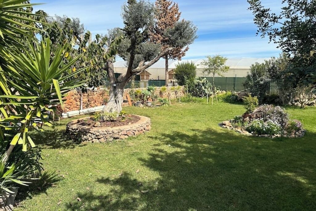 Photo of Outdoor in Loule