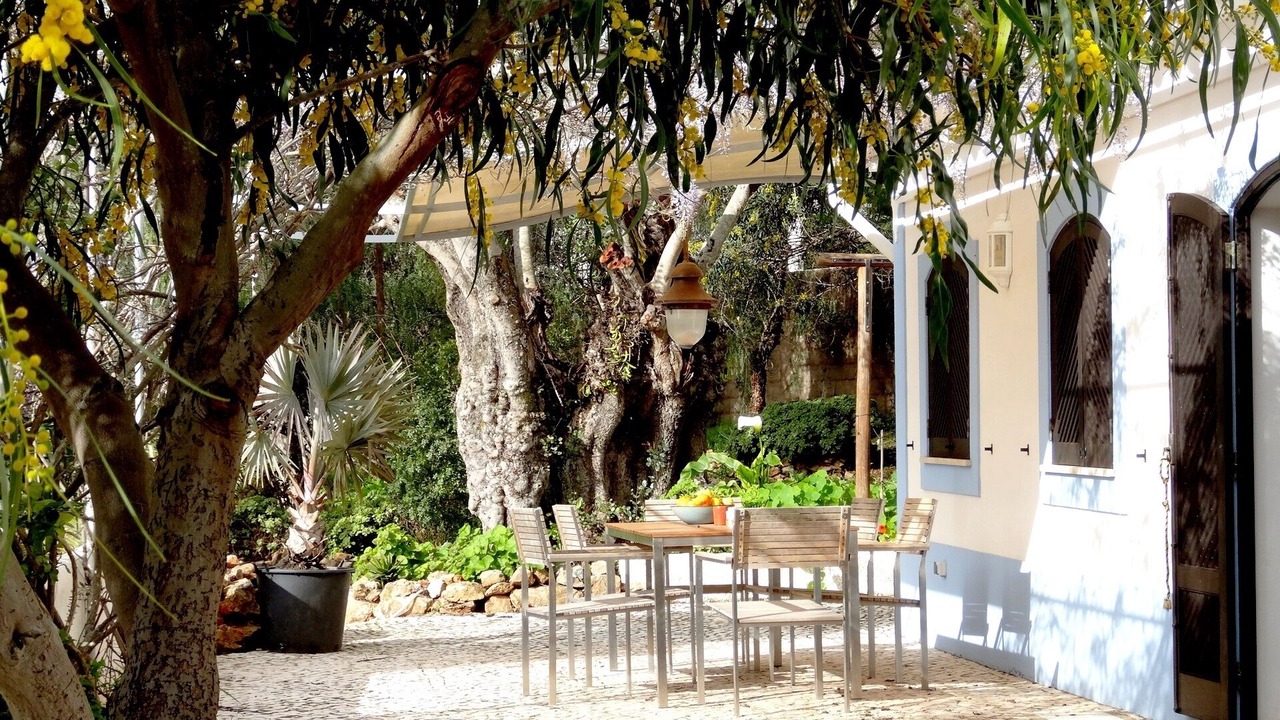Photo of Outdoor in Silves
