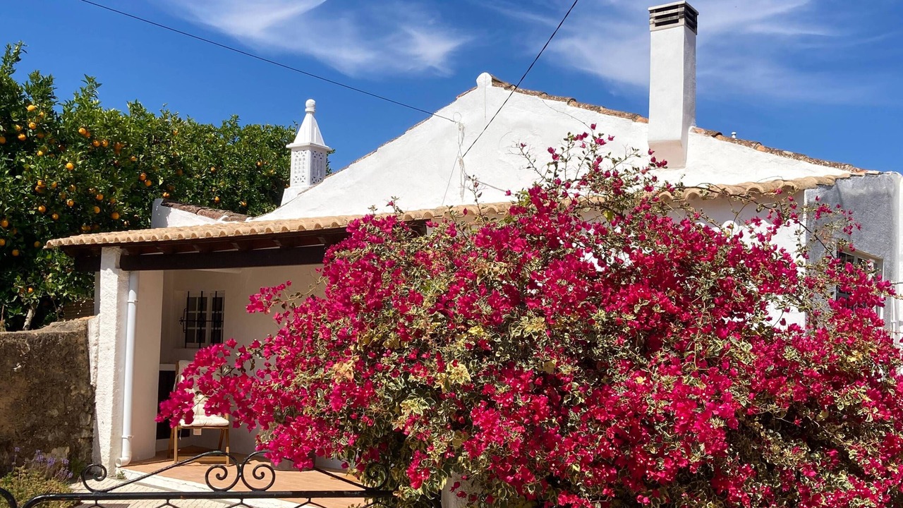 Photo of Outdoor in Santo Estevao