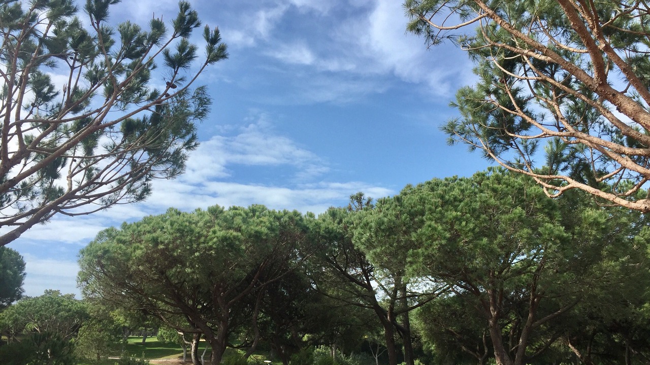 Photo of Others in Vilamoura