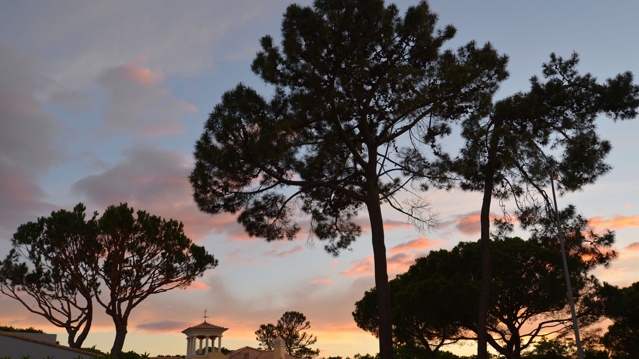 Photo of Others in Vilamoura
