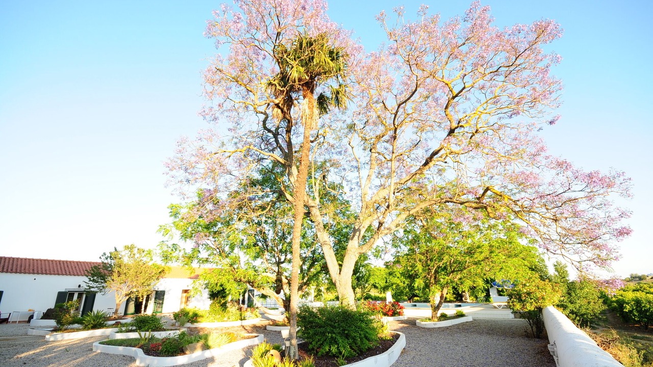 Photo of Outdoor in Tavira