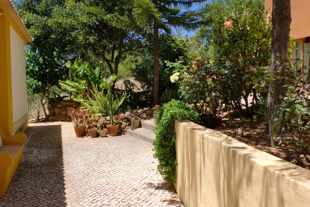 Photo of Others in Funchal