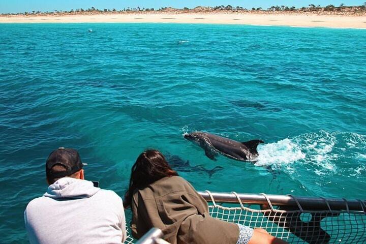 Photo of Others in Sao Juliao