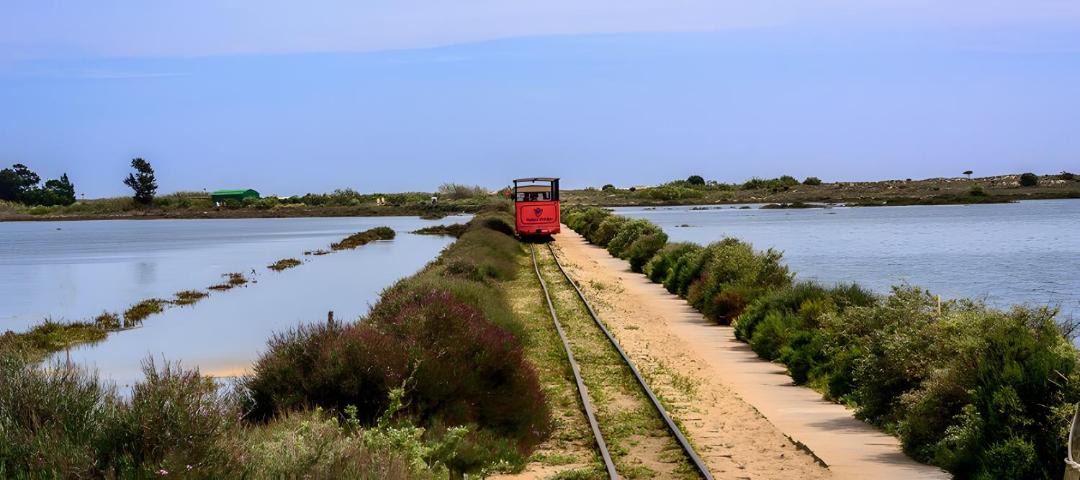 Photo of Others in Santa Luzia