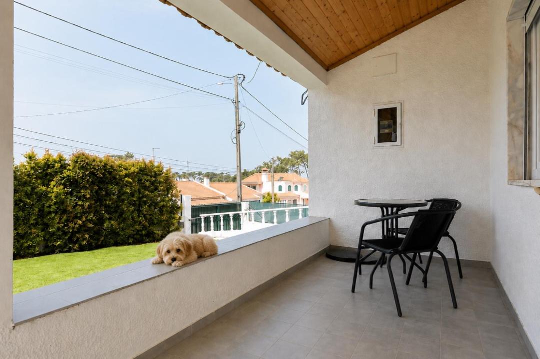 Photo of Others in Carrasqueira