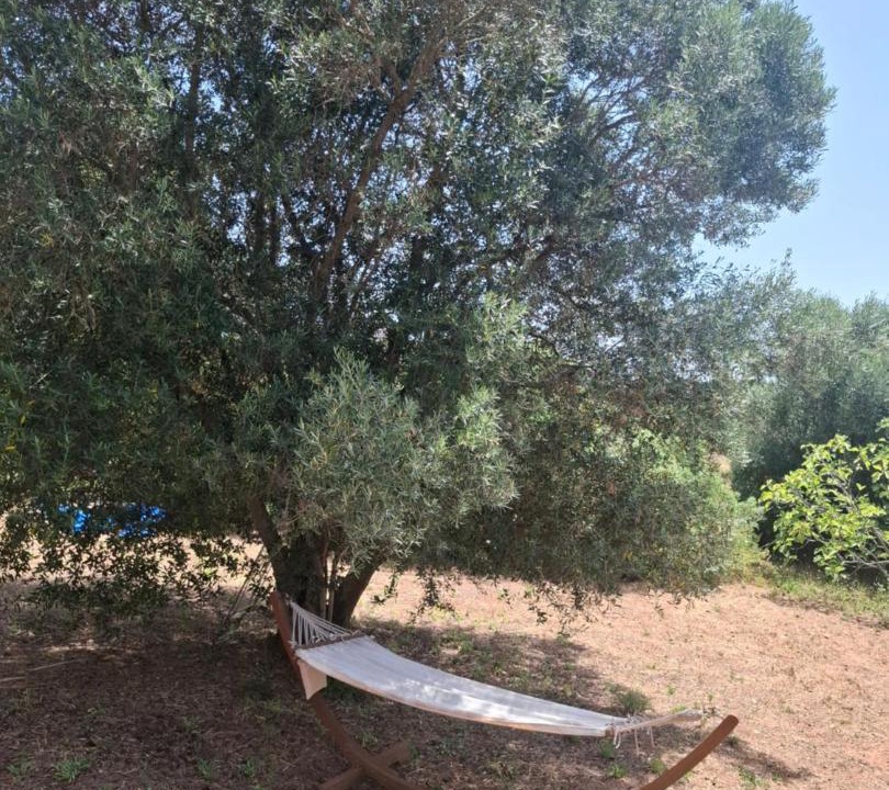 Photo of Outdoor in Apra