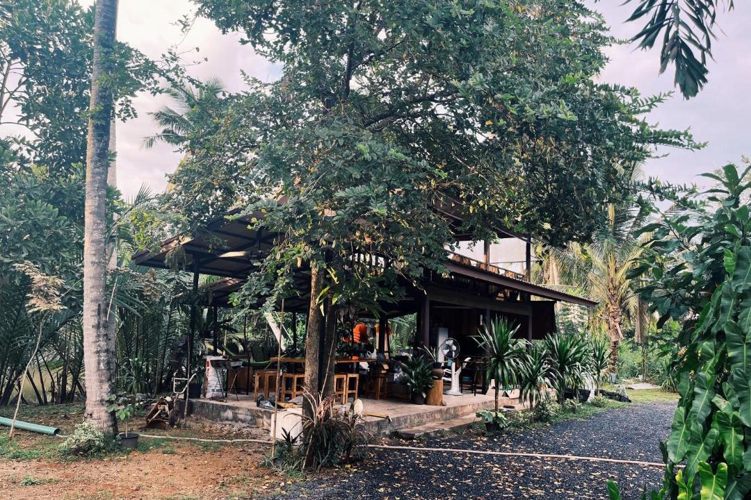 Photo of Others in Ban Pa Yang