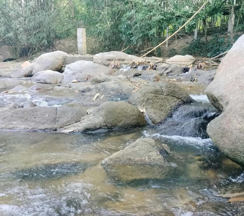 Photo of Others in Khlong Sok