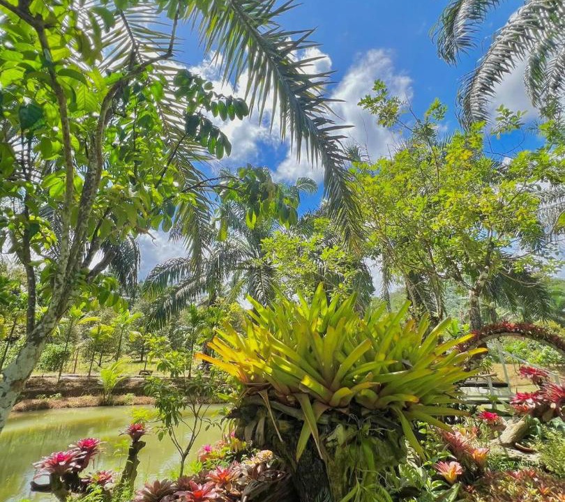 Photo of Others in Kapong