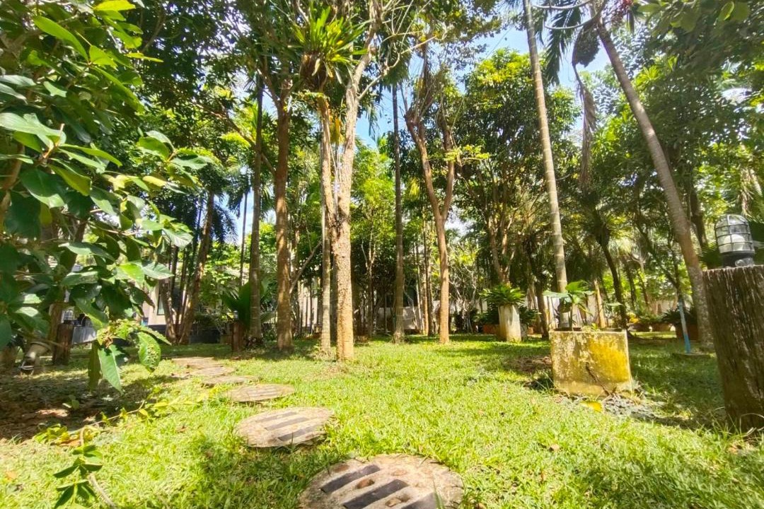 Photo of Others in Lang Suan